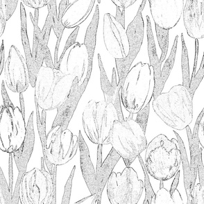 Tulip Bloom in light grey on white (pencil sketch style)