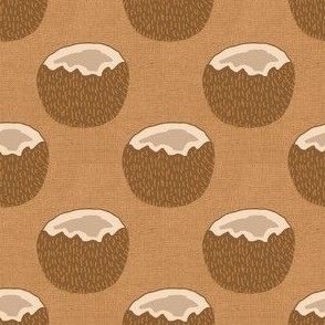 Coconut shells brown textured