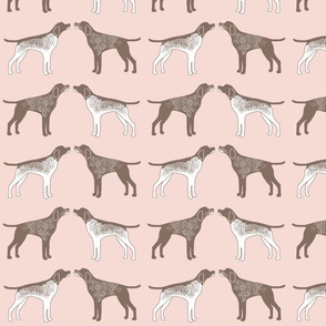 German Short Haired Pointer Dogs on Soft Peach Pink 