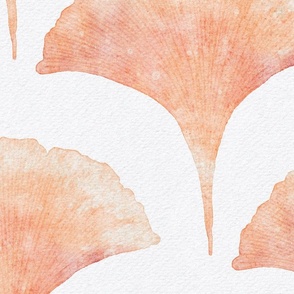 peach fuzz watercolor ginkgo leaf large - pantone color of the year 2024 - watercolor peach botanical scallop
