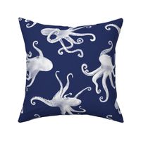 Octopus on Navy