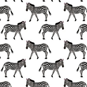 Sassy Zebras 