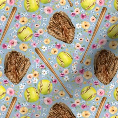 Softball Game with Spring Florals on Blue 6 inch