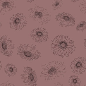 Classic Daisies - pink