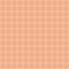 Faded Peach Fuzz Color of the Year 2024 Small Tartan