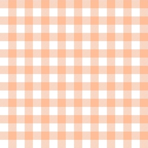 Gingham Checks in Peach Fuzz Color of the Year 2024 and White 