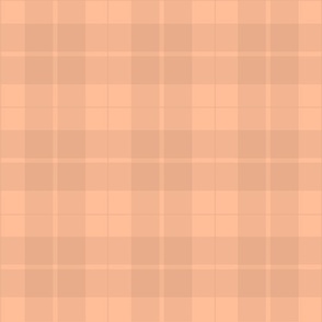 Large Tartan in Faded Peach Fuzz Color of the Year 2024 