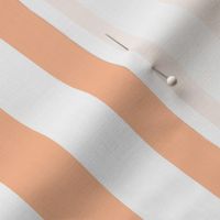 One Inch Stripe in Peach Fuzz Color of the Year 2024 and White 