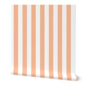 2 Inch Cabana Stripe in Peach Fuzz Color of the Year 2024 and White 