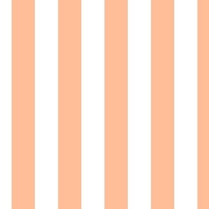 2 Inch Cabana Stripe in Peach Fuzz Color of the Year 2024 and White 