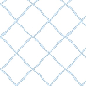 Pale Blue Ribbon Lattice on White