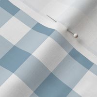 Gingham Blue