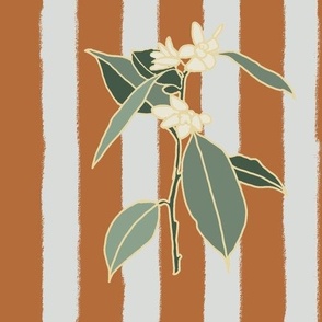 Orange Blossoms and stripes