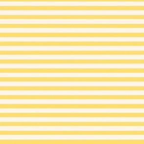 stripe-in-sunshine 2