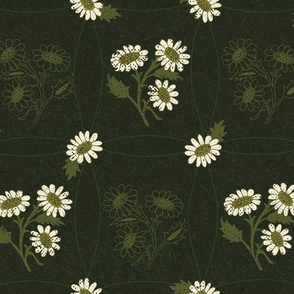 Daisy - meadow of green