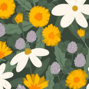 Daisies, Dandelions, and Clover