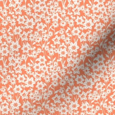 Daisy-Daffodil-garden-in-coral 4