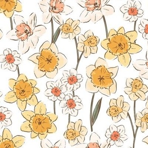 Daffodil fields 11.84