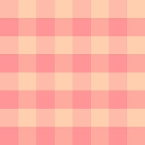 Peach Fuzz Gingham 1 inch