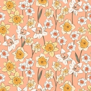Daffodil-in-Peach 8