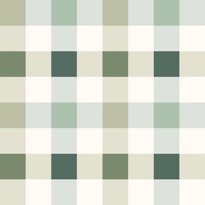 Irish-Gingham 4x4