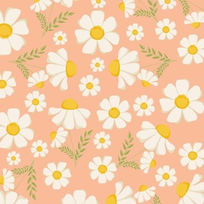 Daisy Flower - Peach Fuzz background  Pantone color of the year 2024