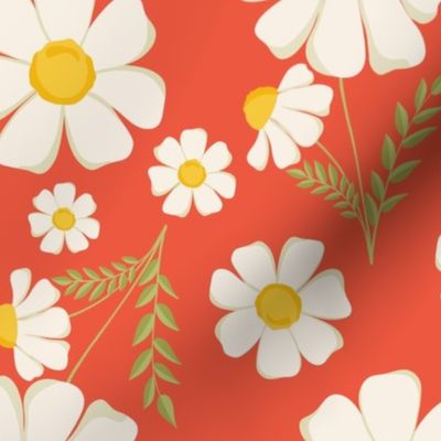 Daisy Flower - Red background 