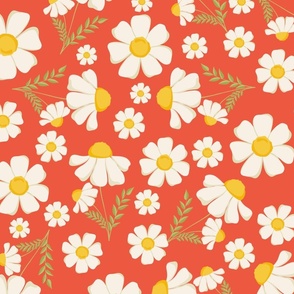 Daisy Flower - Red background 