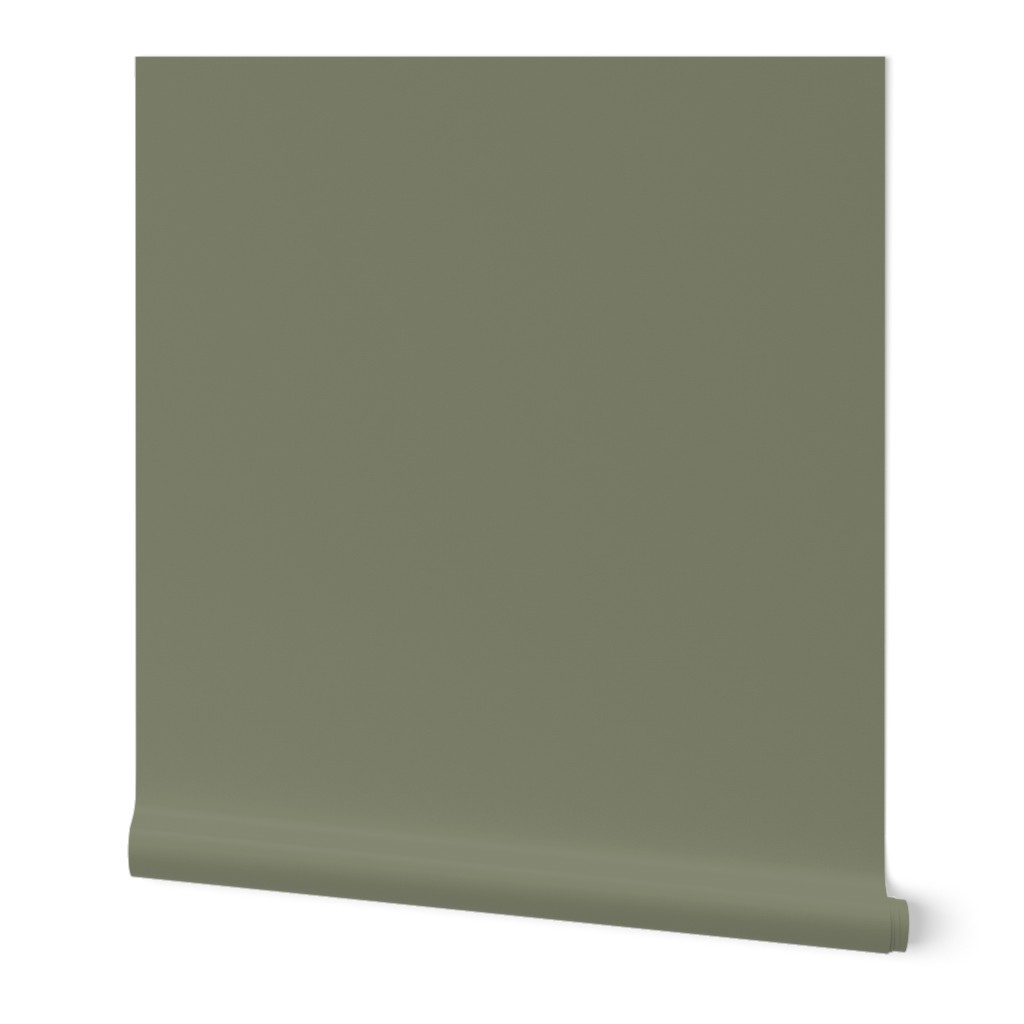 Dark Olive Green Solid Color Swatch  Moss Army Sage Pistachio Green