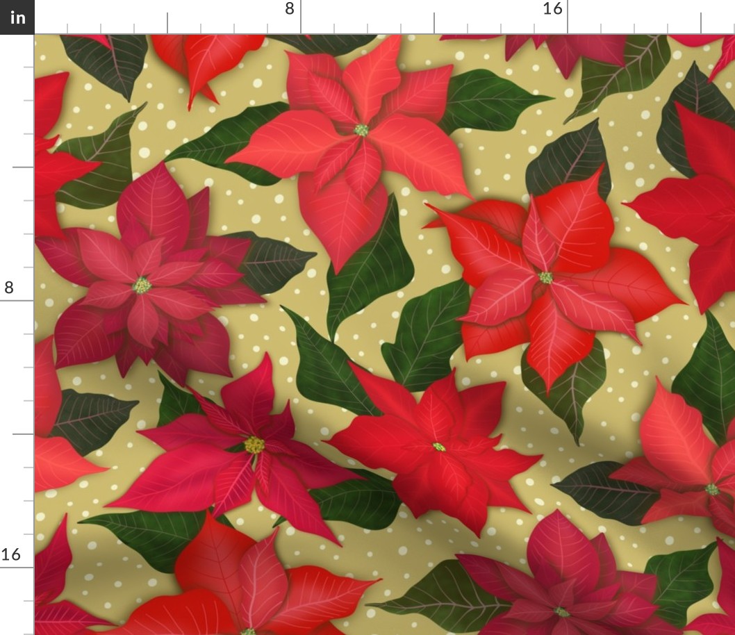 Poinsettias 2