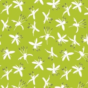 White tossed flowers with grey stamens on lime green