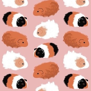 Guinea Pigs on Pink 