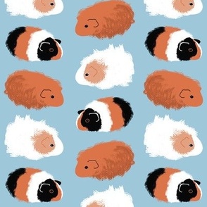 Guinea Pigs on Sky Blue