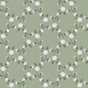 Large Scale Vintage White Floral Lattice on Textured Sage Green