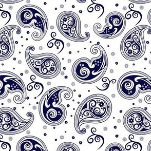 paisley pattern design-03