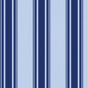 Ticking Stripe (Medium) - Starry Night on Windmill Wings Blue  (TBS211)
