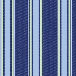 Ticking Stripe (Medium) - Summer Blue, Acadia Green and Windmill Wings on Starry Night Blue  (TBS211)