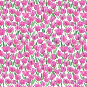 Pink watercolour tulips on white