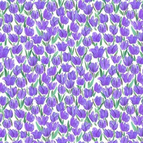 Purple watercolour tulips on white background