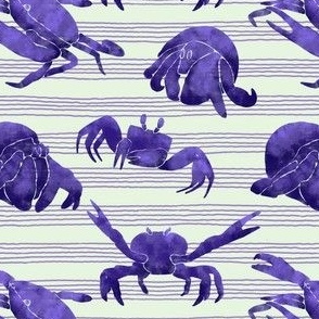 Textured Dark Violet Crabs | Light striped background