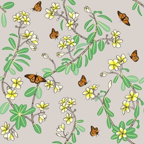 Plumeria with butterflies
