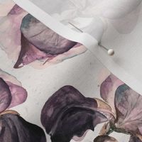 Medium Vintage Iris Flowers / Purple and Cream / Watercolor