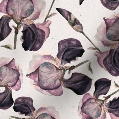 Medium Vintage Iris Flowers / Purple and Cream / Watercolor