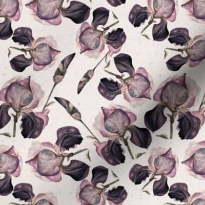 Medium Vintage Iris Wallpaper / Purple Cream