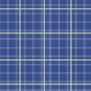 Navy and Gold Plaid