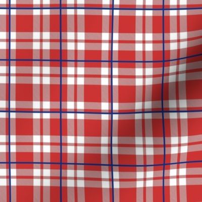 Smaller Scale Team Spirit Baseball Plaid in Chicago Cubs Red and Blue