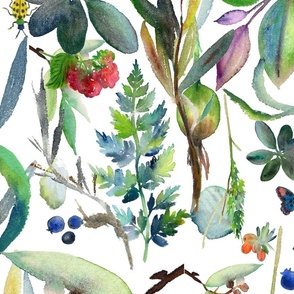 Soft plants and berries