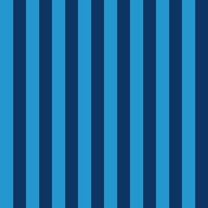 workout blue stripe 1 inch