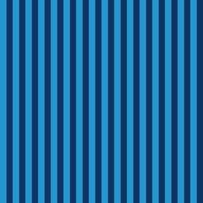 workout blue stripe half inch