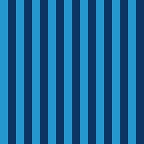workout blue stripe